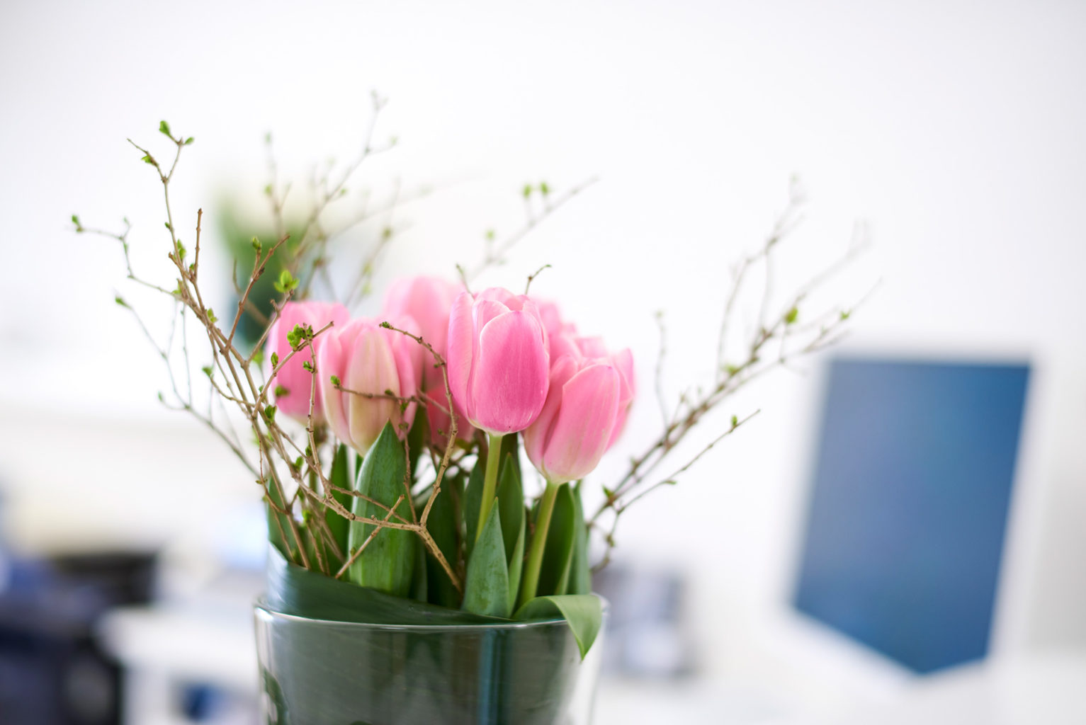 Web_City-Roller-Stuttgart-marken